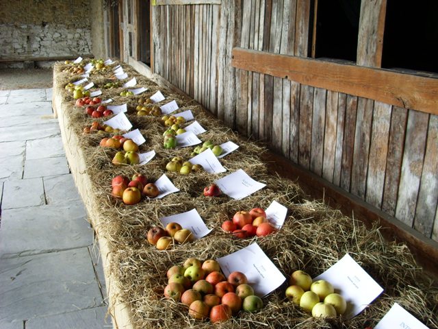 Igartubeiti cider press